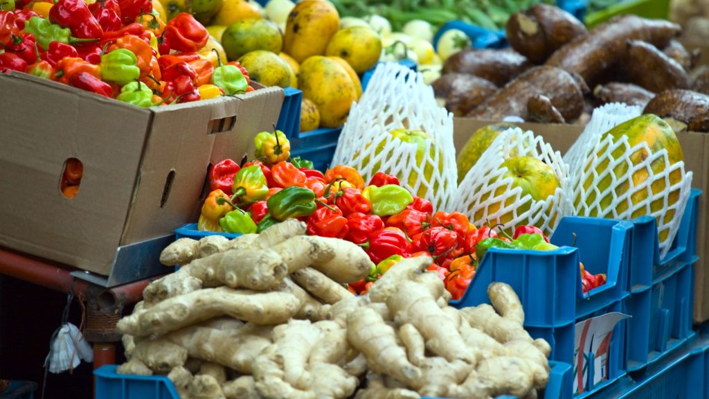 partnering with Profama for sustainable future