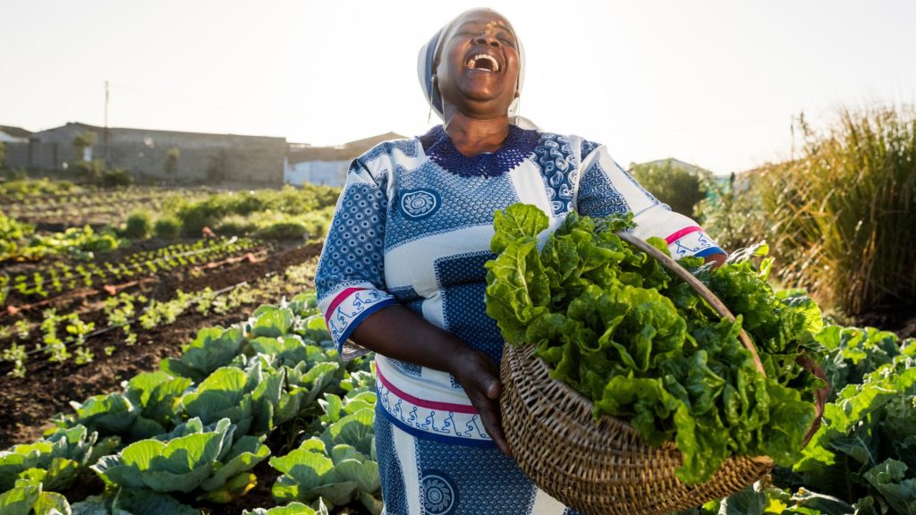 ENVIRONMENTAL IMPACT OF SUSTAINABLE TRADE