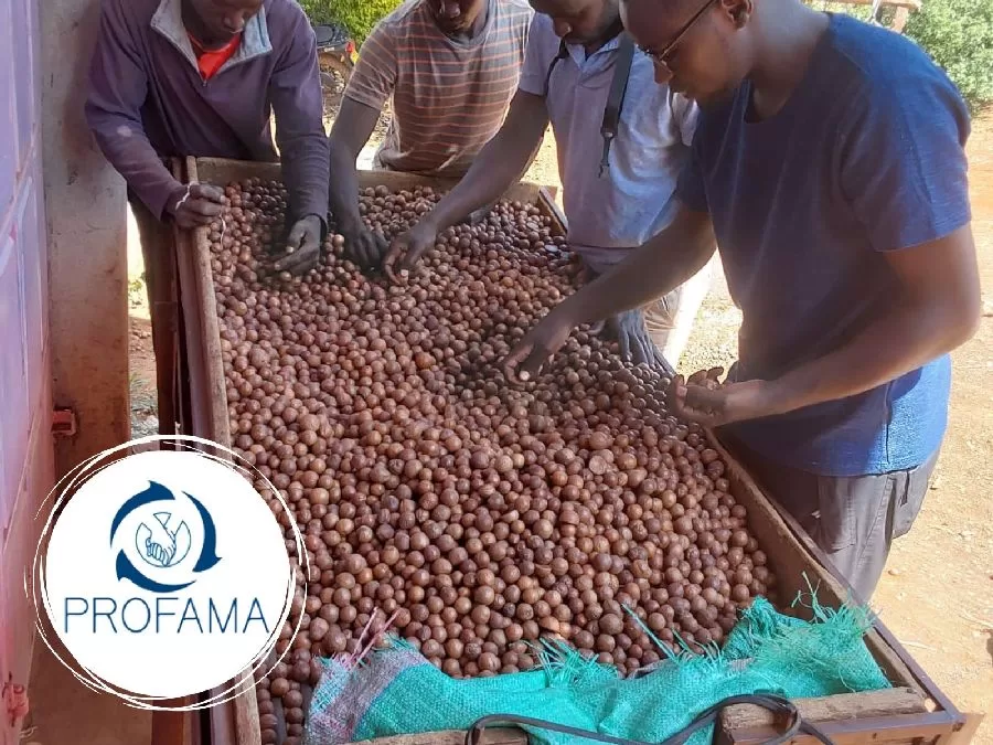 the impact of sustainable trade