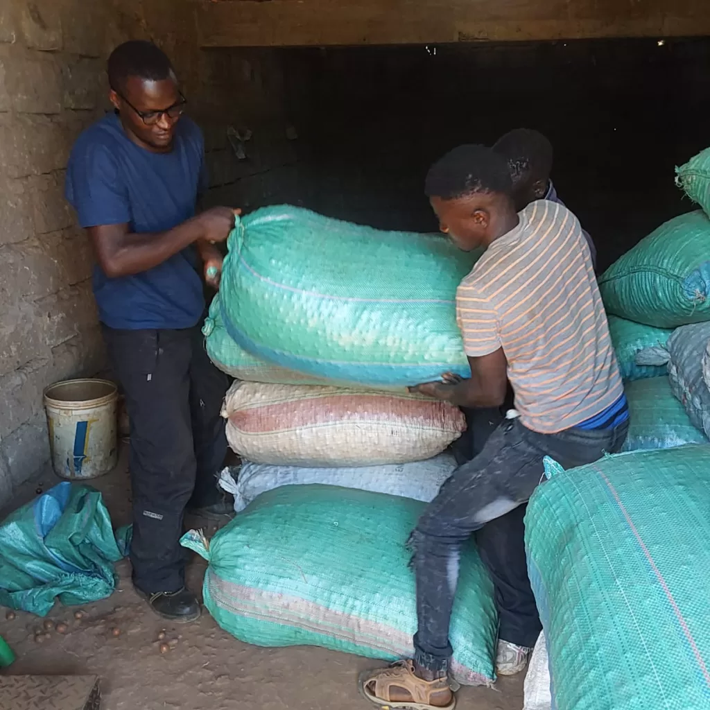 empowering smallholder farmers