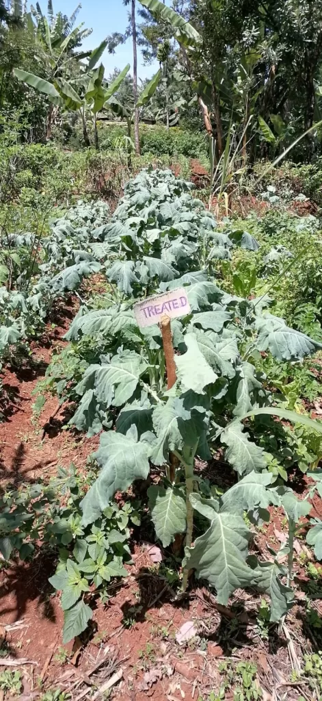 sustainable agriculture practices