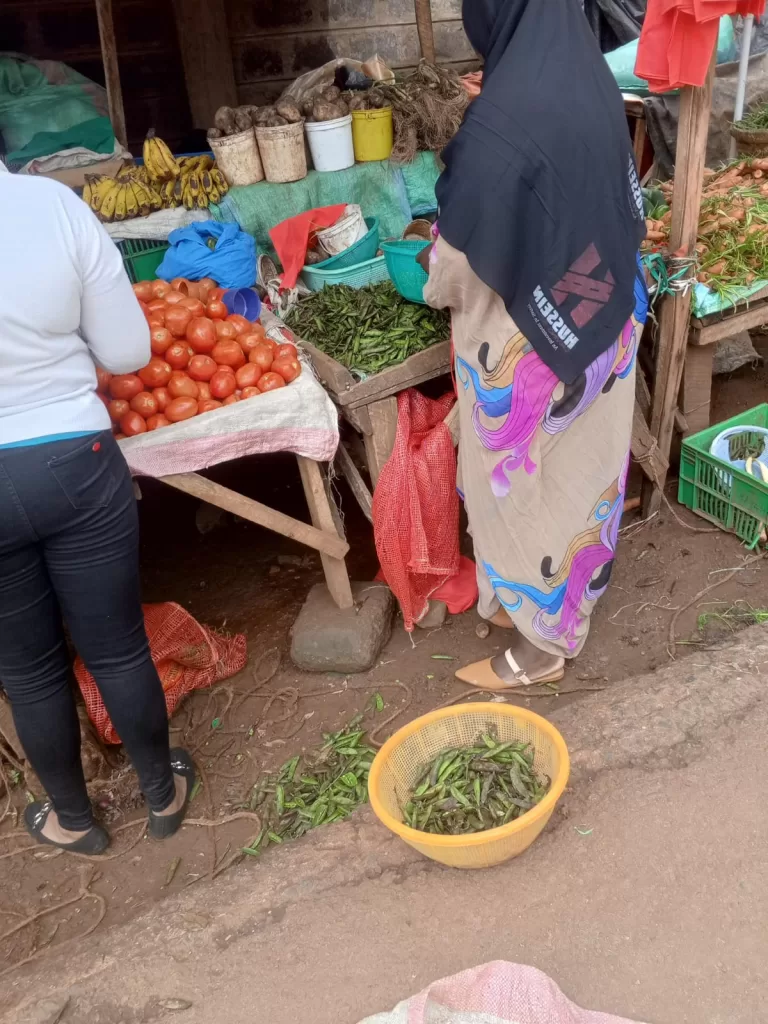 supporting-smallholder-farmers