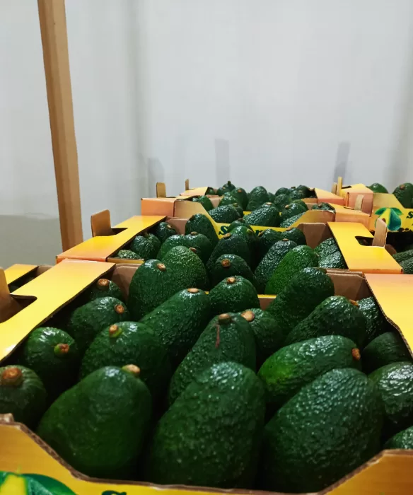sustainable-agriculture-practices