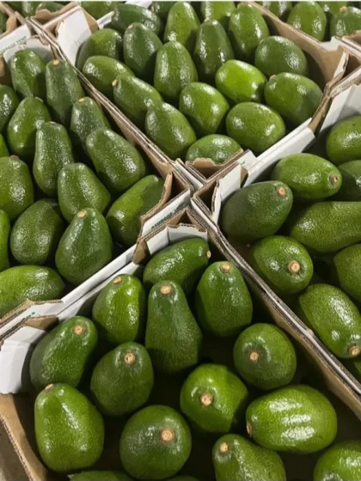 sustainable-value-chains
